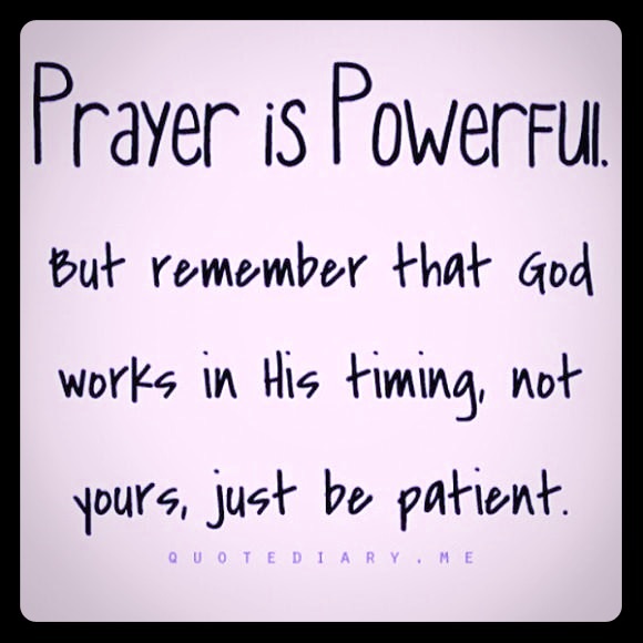 Meet your Posher, Julia - Picture 1 of 1